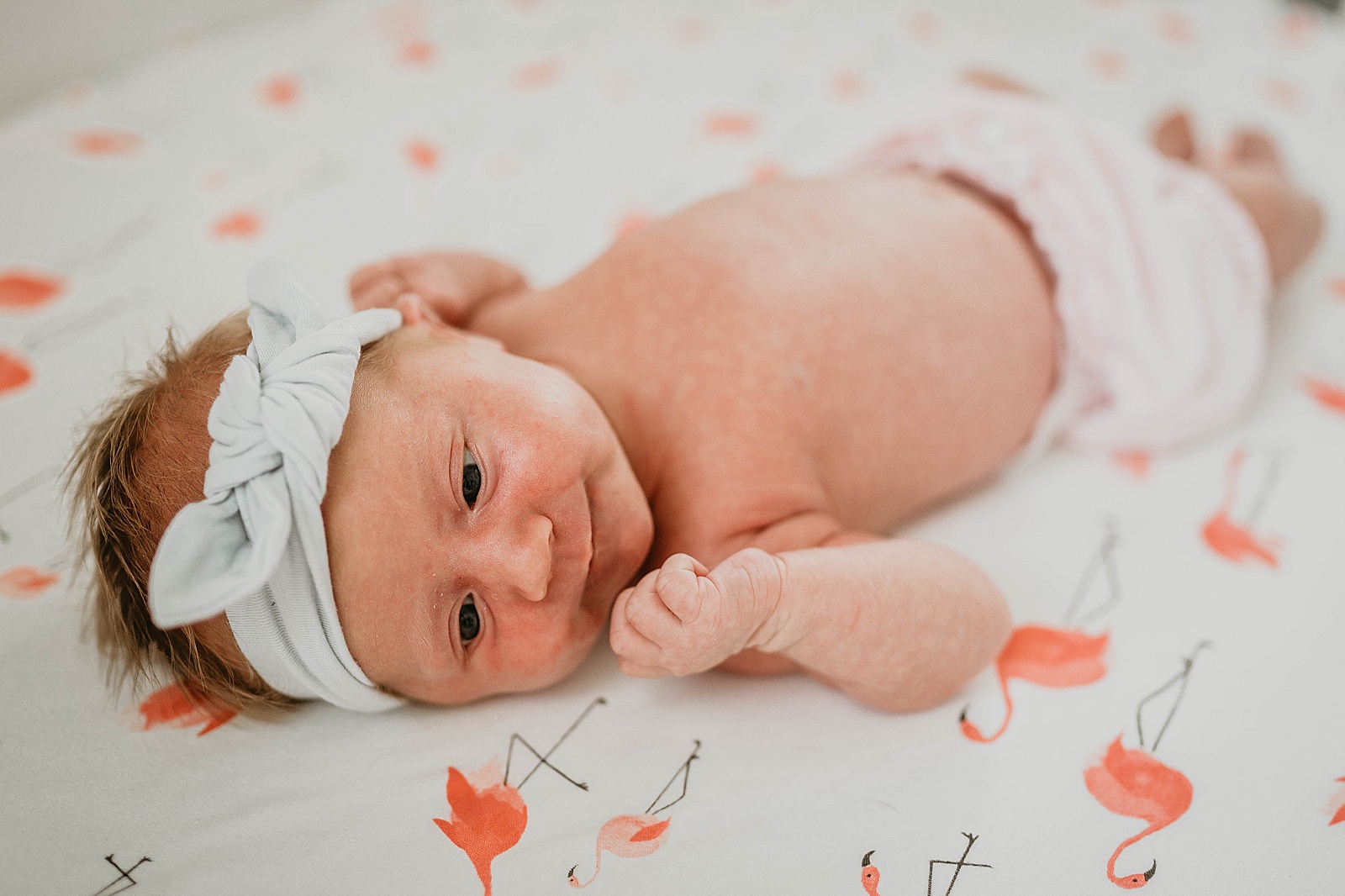 In home newborn session captured by South Florida lifestyle photographer, Krystal Capone Photography