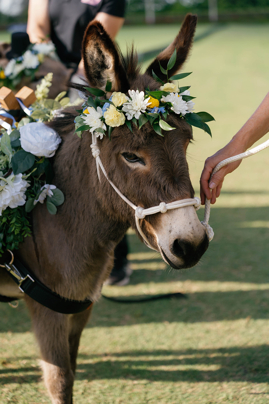 Reception cocktail hour