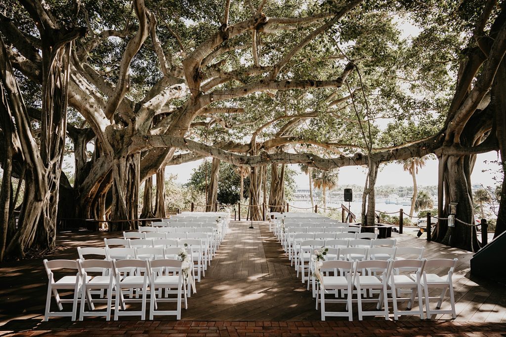 Wide Detail shot of Ceremony area with huge Banyan tree