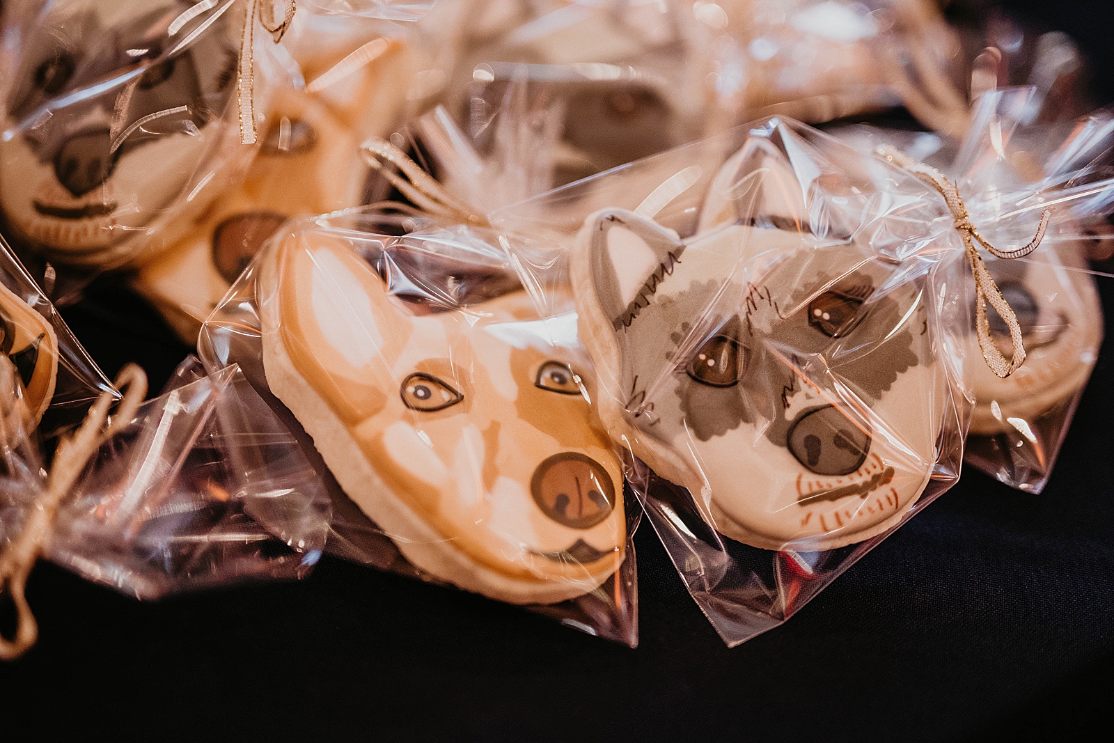 Detail shot of fun wrapped dog cookies